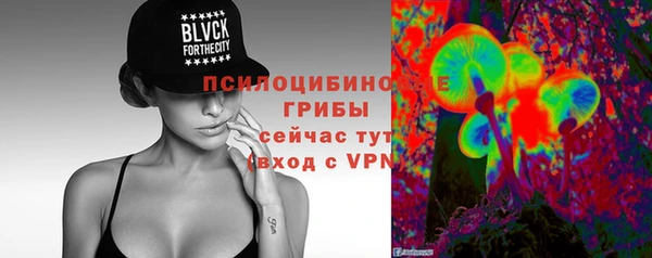 ГАЛЛЮЦИНОГЕННЫЕ ГРИБЫ Горно-Алтайск