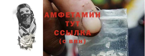 ГАЛЛЮЦИНОГЕННЫЕ ГРИБЫ Горно-Алтайск