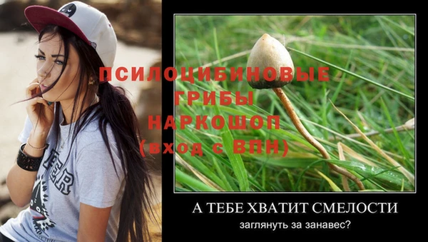 кокаин Горнозаводск