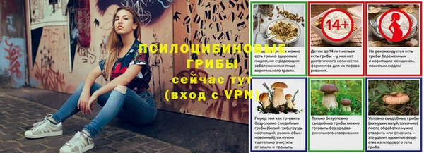 ГАЛЛЮЦИНОГЕННЫЕ ГРИБЫ Горно-Алтайск