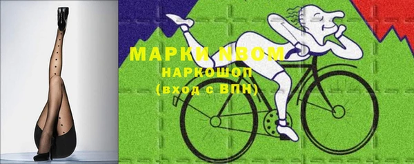 ГАЛЛЮЦИНОГЕННЫЕ ГРИБЫ Горно-Алтайск