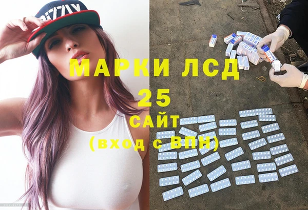 ГАЛЛЮЦИНОГЕННЫЕ ГРИБЫ Горно-Алтайск