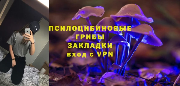ГАЛЛЮЦИНОГЕННЫЕ ГРИБЫ Горно-Алтайск