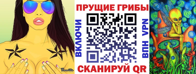 Купить закладки  Артёмовск  Псилоцибиновые грибы Cubensis 